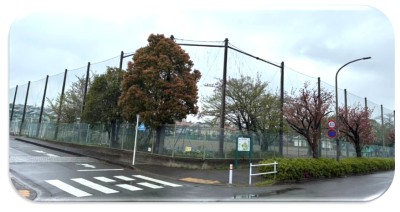 スポーツ広場