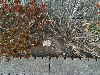 施肥完了報告写真